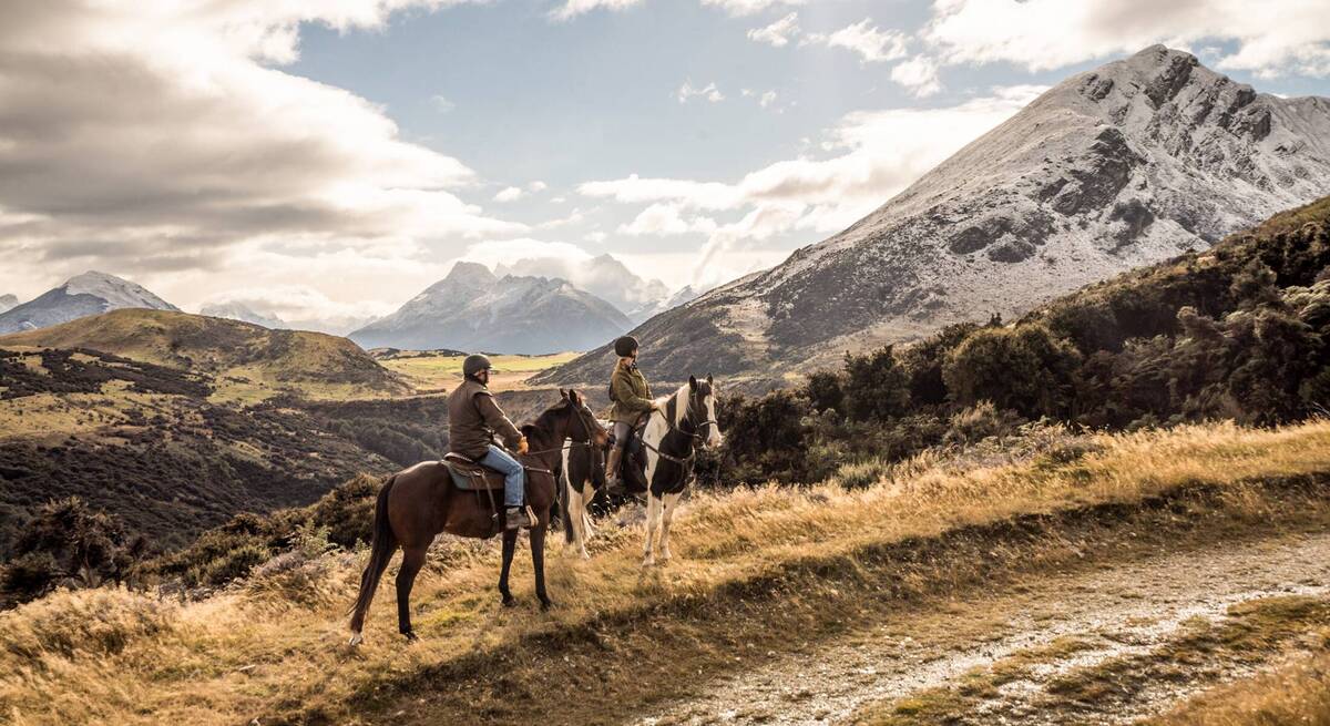 3084648_medium_1e88a51e