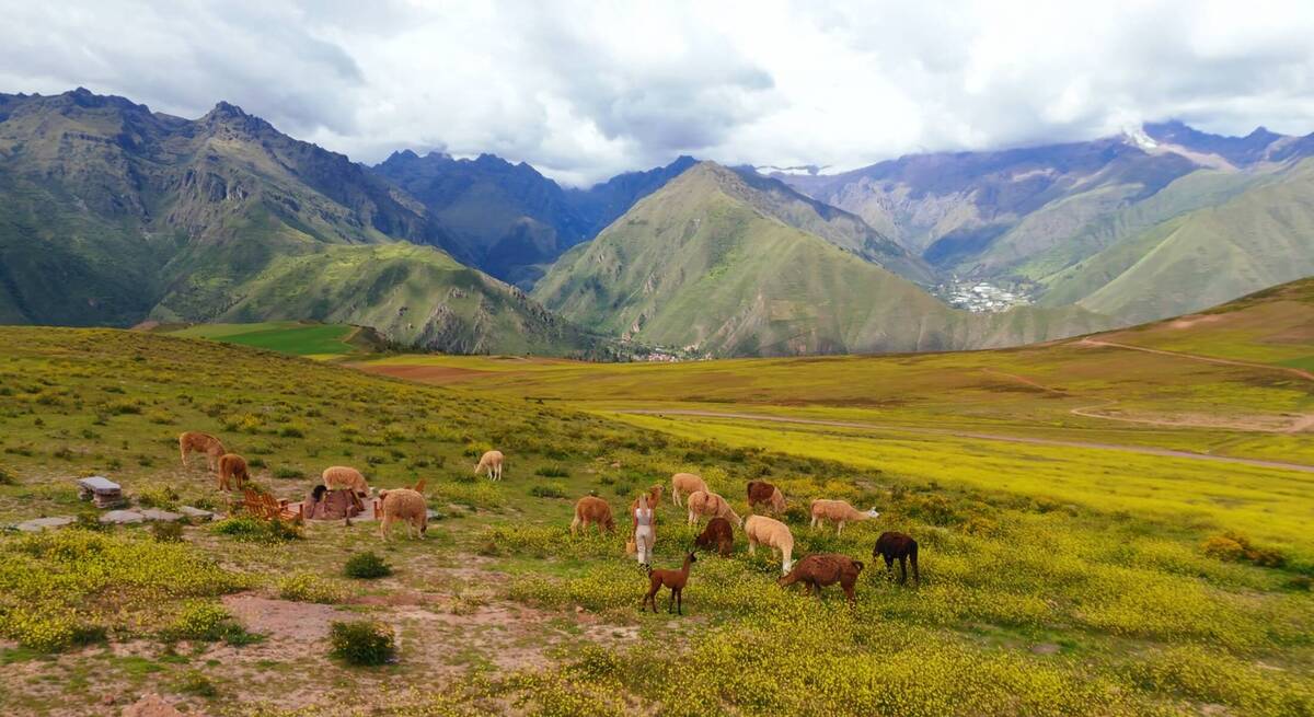 3091008_medium_b7223417